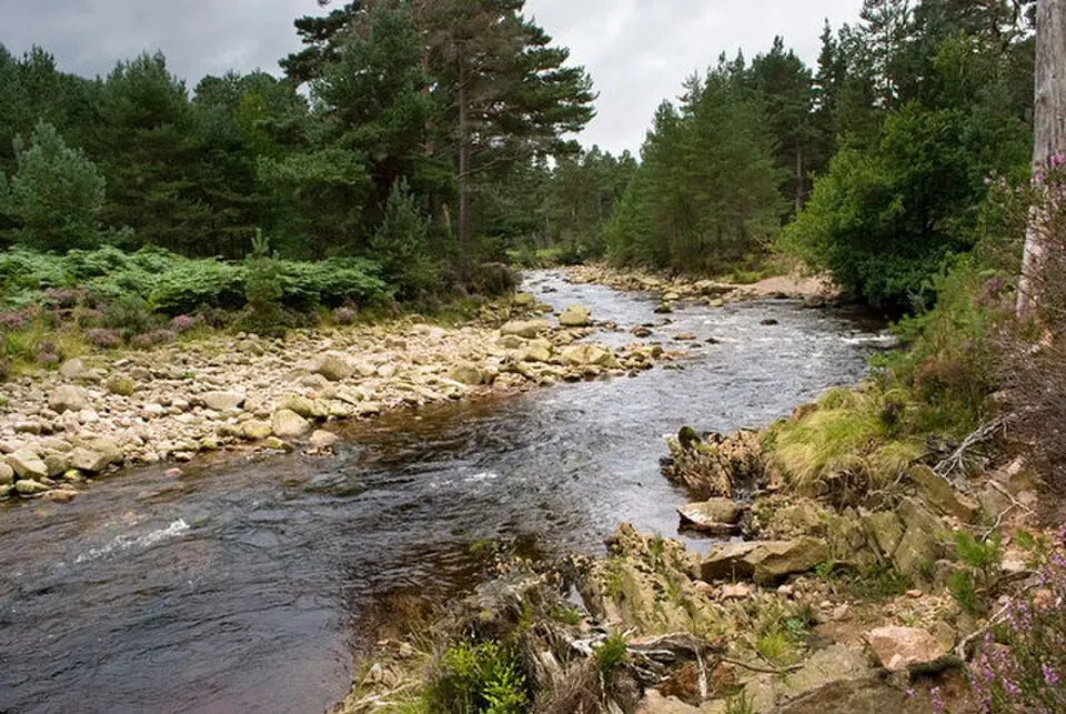 Water of Tanar