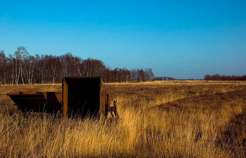 Bargerveen