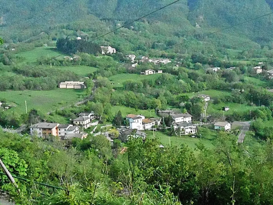 Bargi