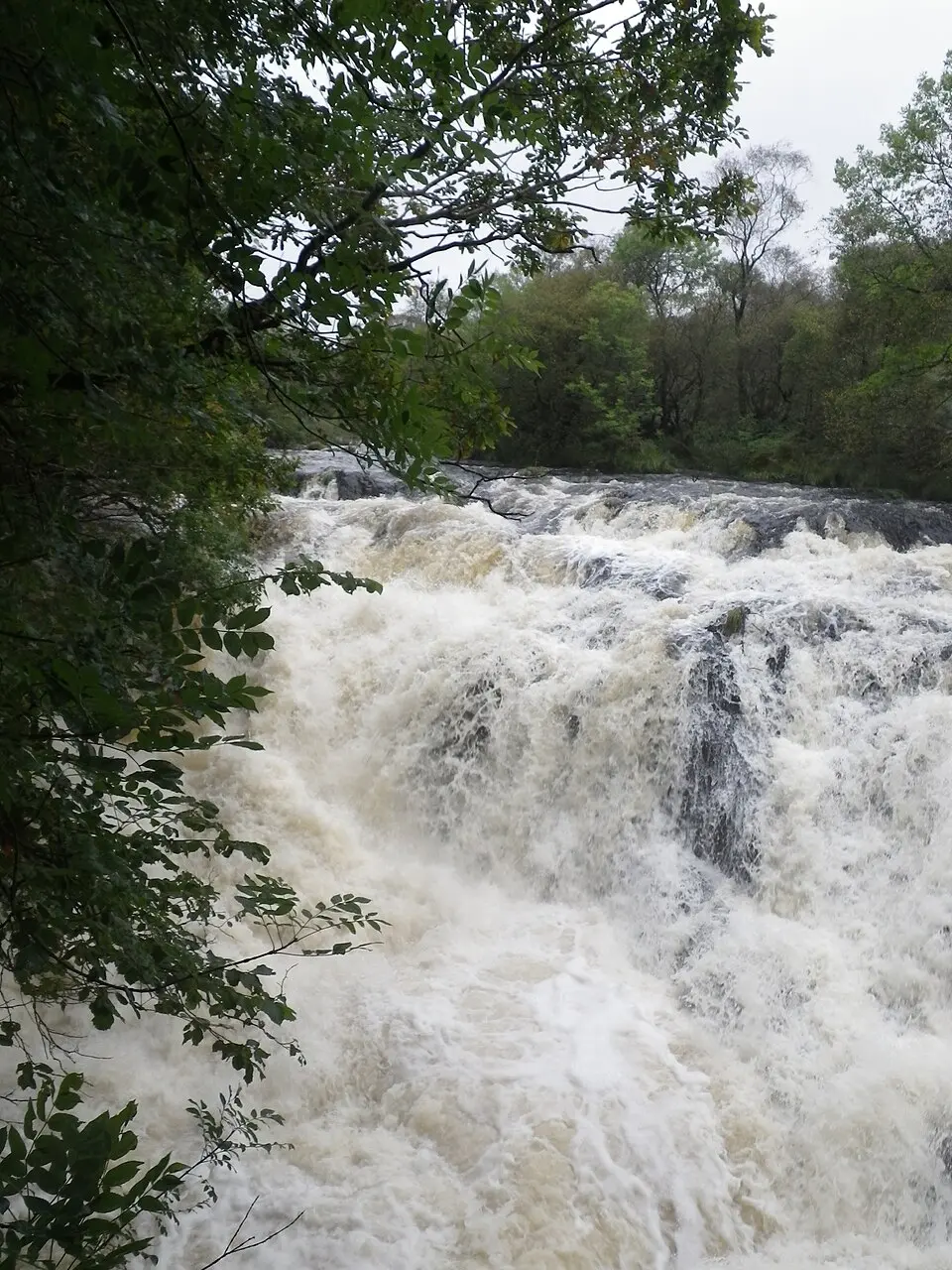 Waukers Linn
