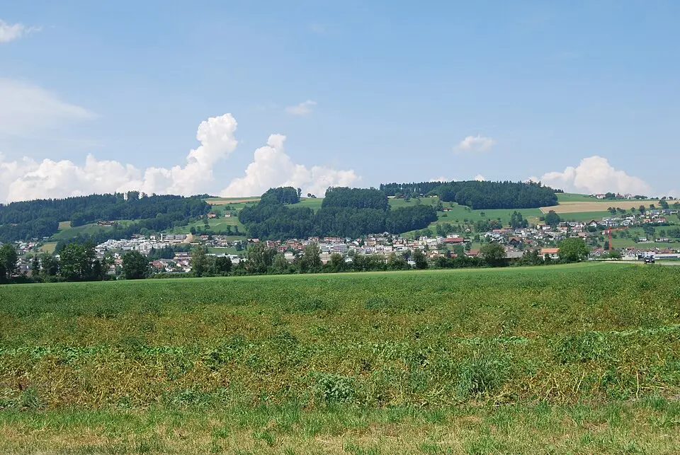 Image: DidiWeidmann · CC BY-SA 3.0 Wauwil