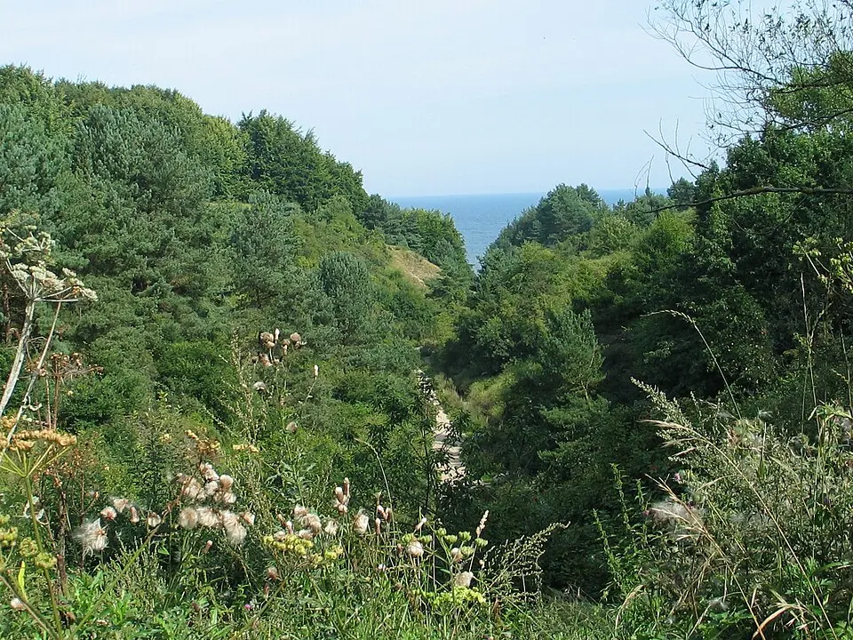 Image: Gower · CC BY-SA 3.0 Wąwóz Chłapowski