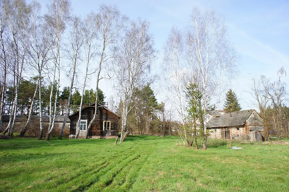 Wólka Czarnińska