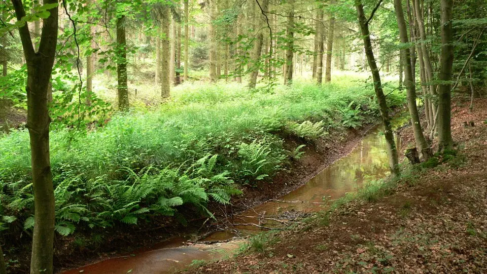 Wölpe