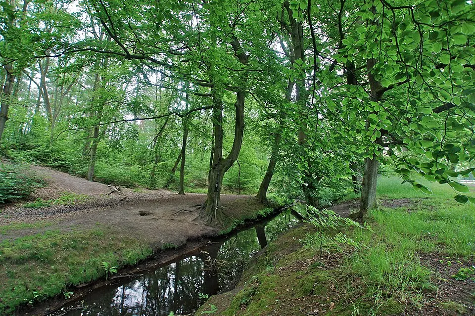 Slika: flamenc · CC BY-SA 3.0 Wedeler Au