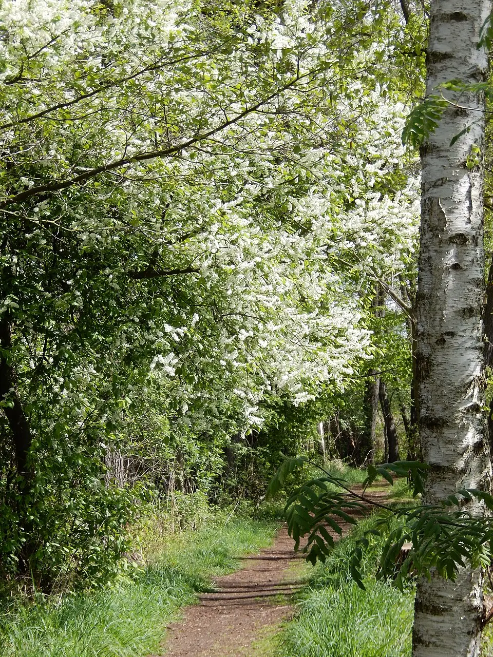 Biosphärenreservat Oberlausitzer Heide- und Teichlandschaft