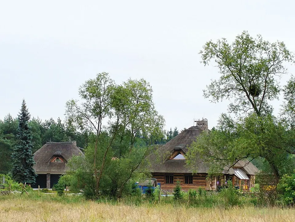 Węgornik