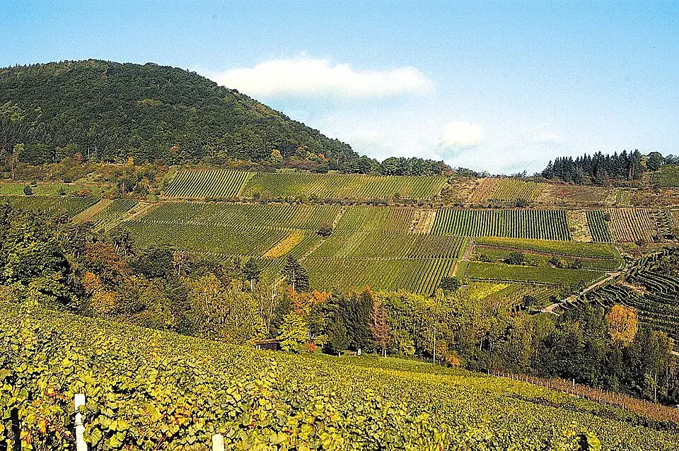 Slika: Fwehrheim · CC BY-SA 3.0 Verbandsgemeinde Landau-Land