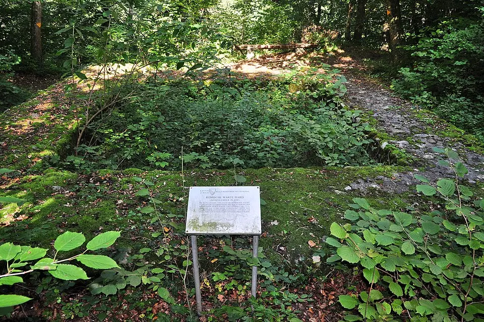 Hardwald, Teil der spätrömischen Rheinbefestigung