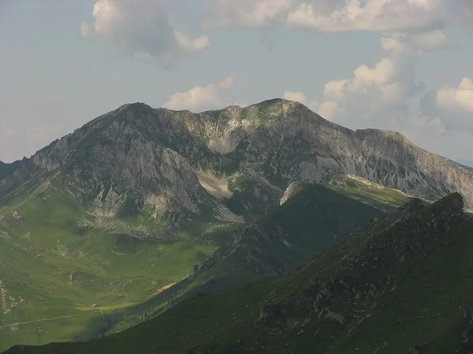 Weißeneck