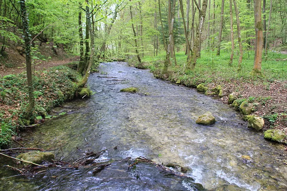 Weißer Kocher