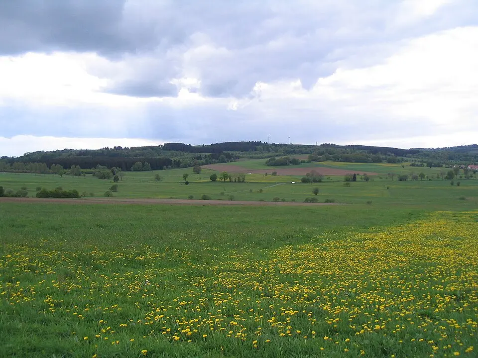 Weißer Stein