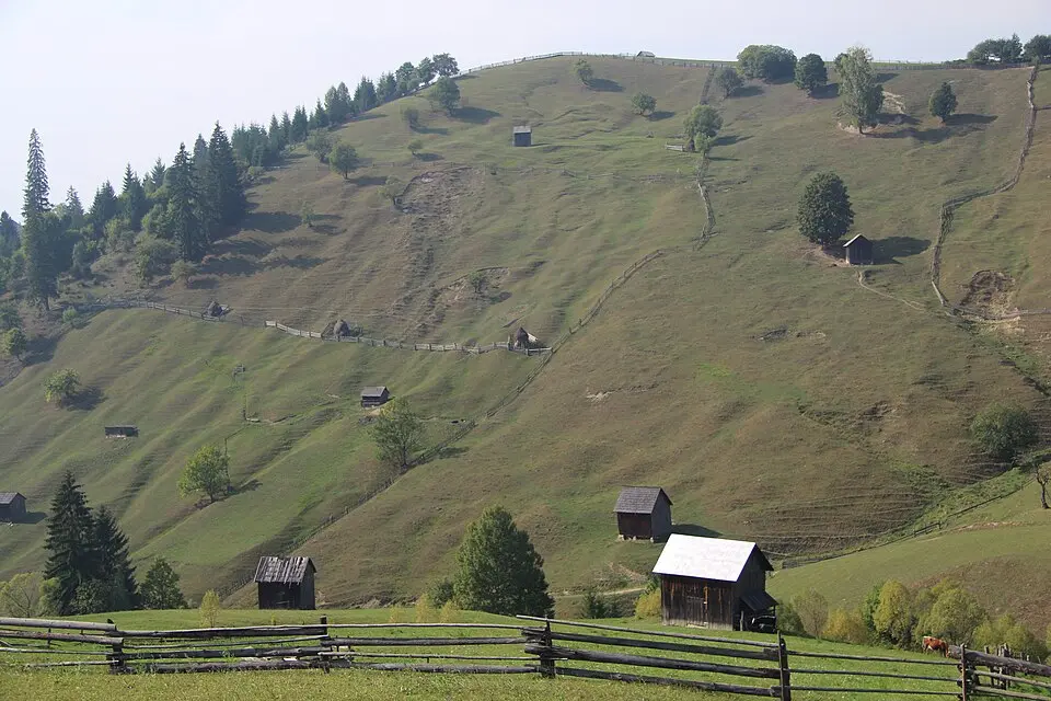 Moldovița