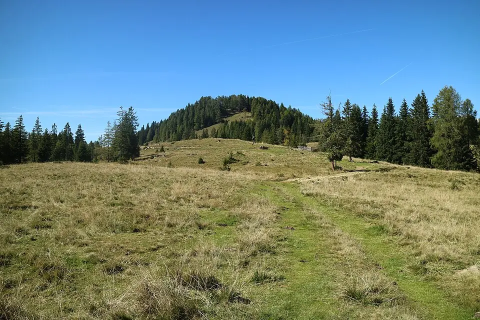 Weidschober
