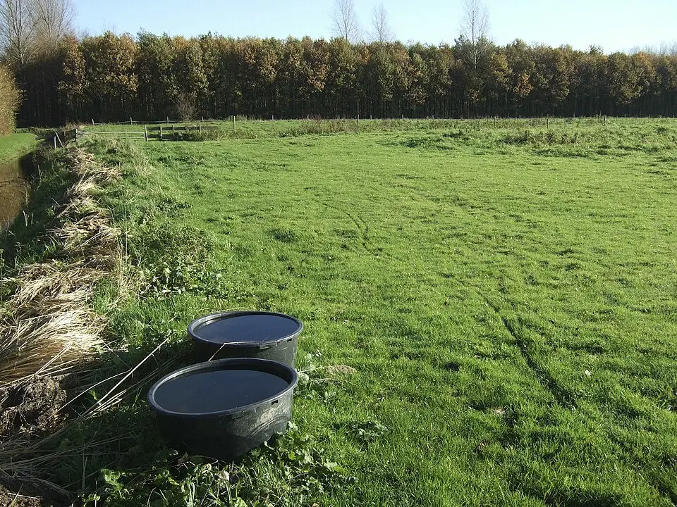 Terrein waarin sporen van bewoning