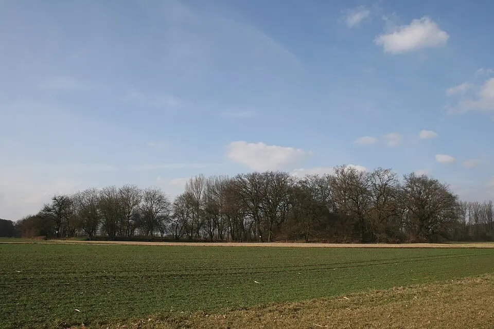Image: Haselburg-müller · CC BY-SA 3.0 Weilerhügel