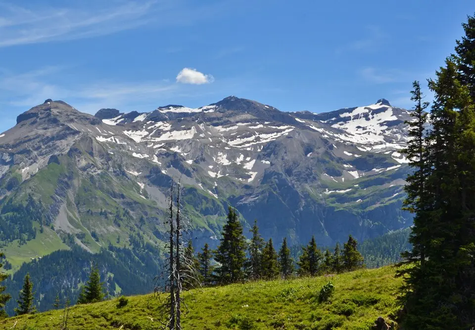 Weisshorn (Lenk)