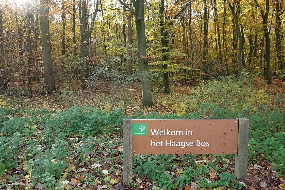 Haagse Bos