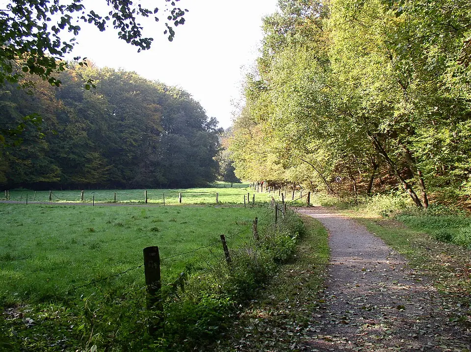 Weltersbach