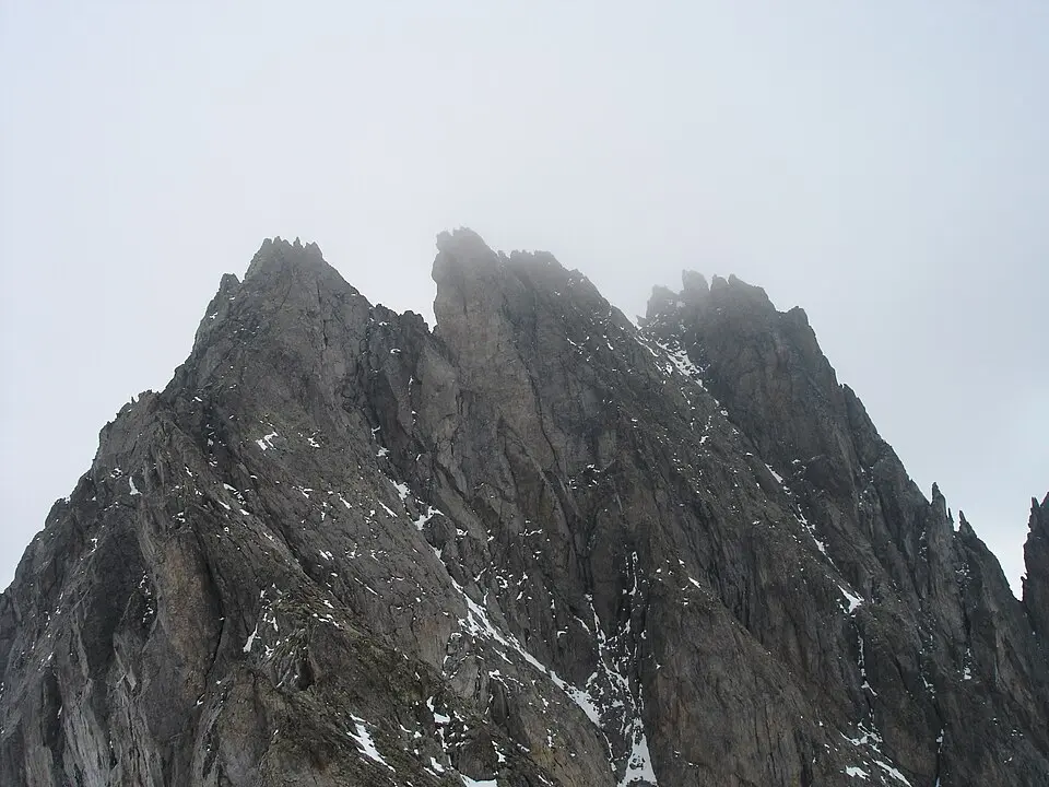 Wendenhorn