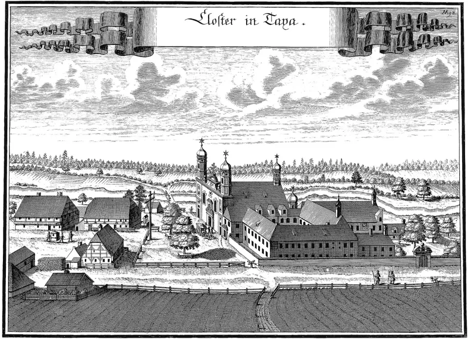 Augustinerbarfüßerkloster Taxa