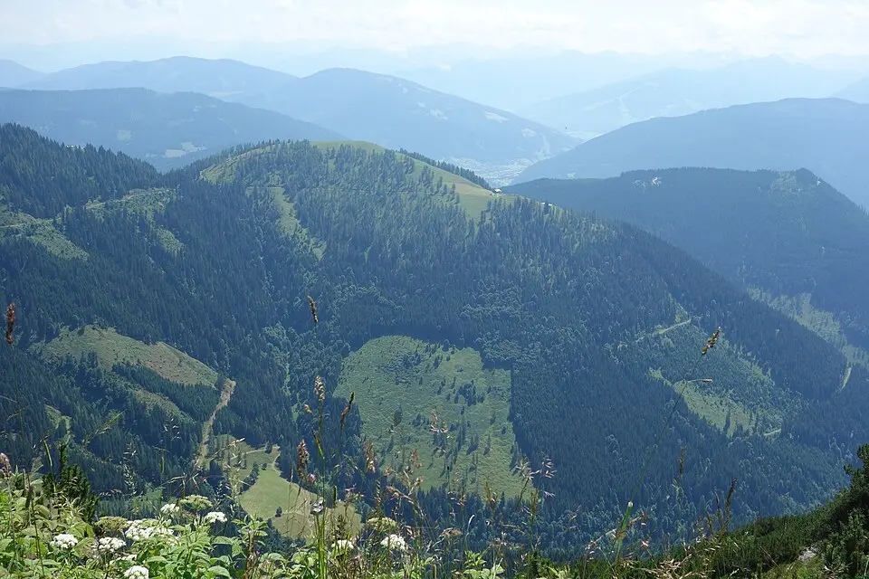 Schwarzenegg