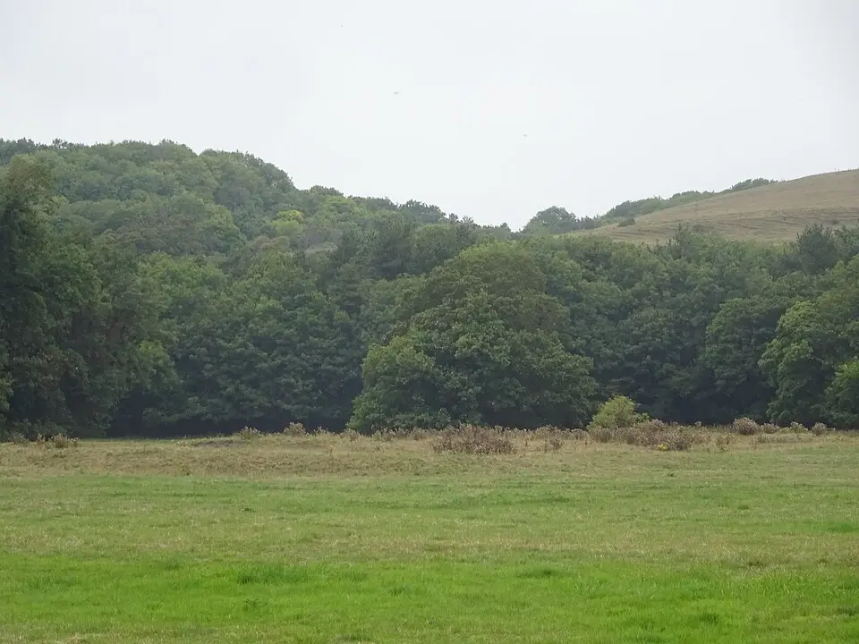West Ringstead