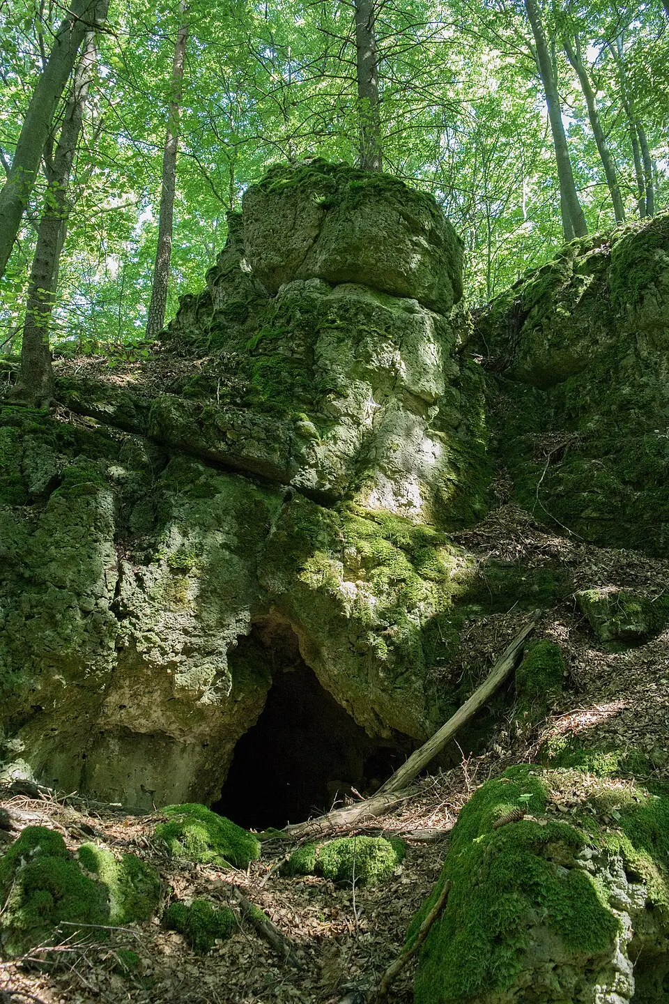 Bodendenkmal in Hartenstein (Mittelfranken), #D-5-6334-0004