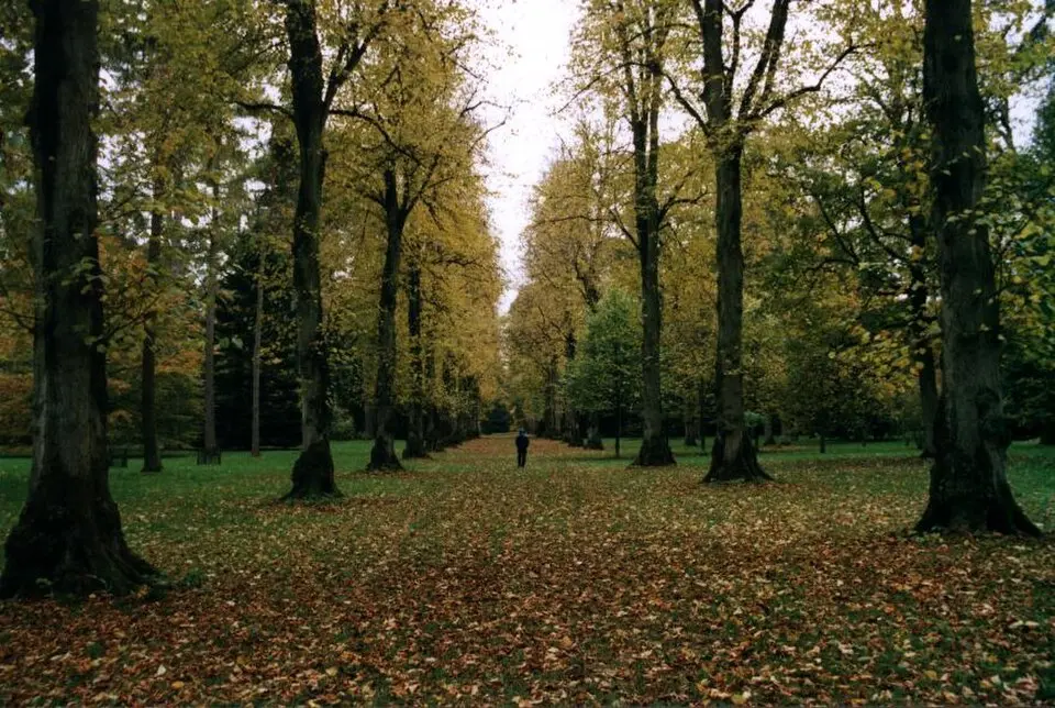 arboretum national Westonbirt