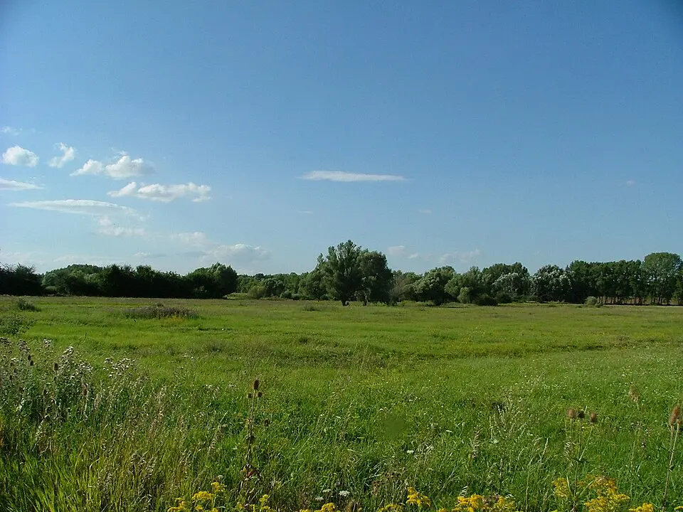 Malý Žitný ostrov