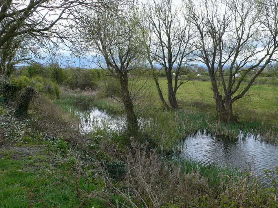 Rhuddlan Nature Reserve