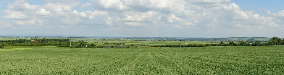 Wetterau