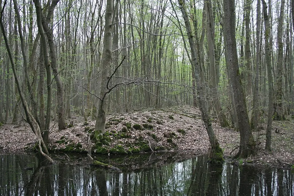 Wetterau-Limes