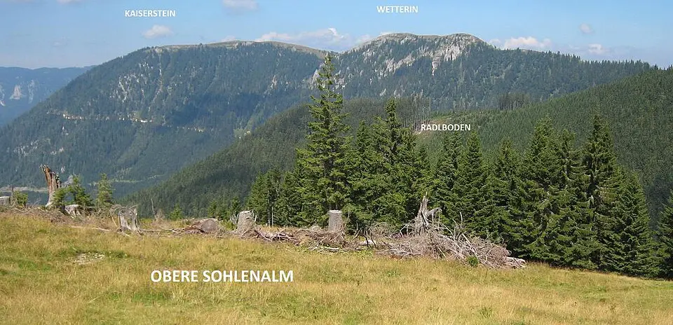 Wetterin