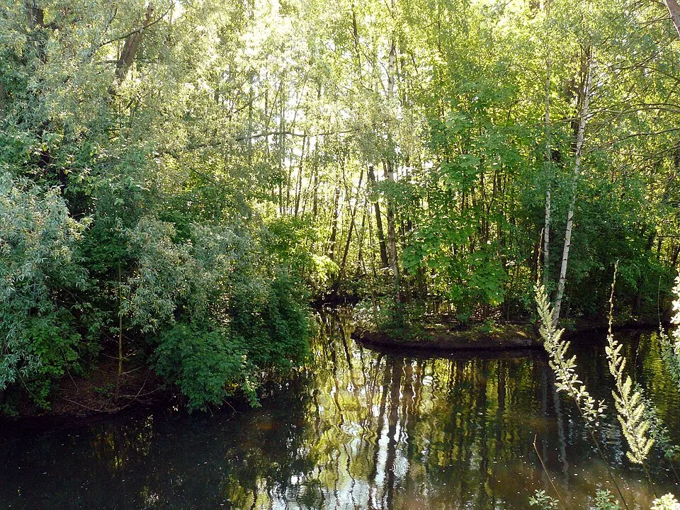 Goldbach