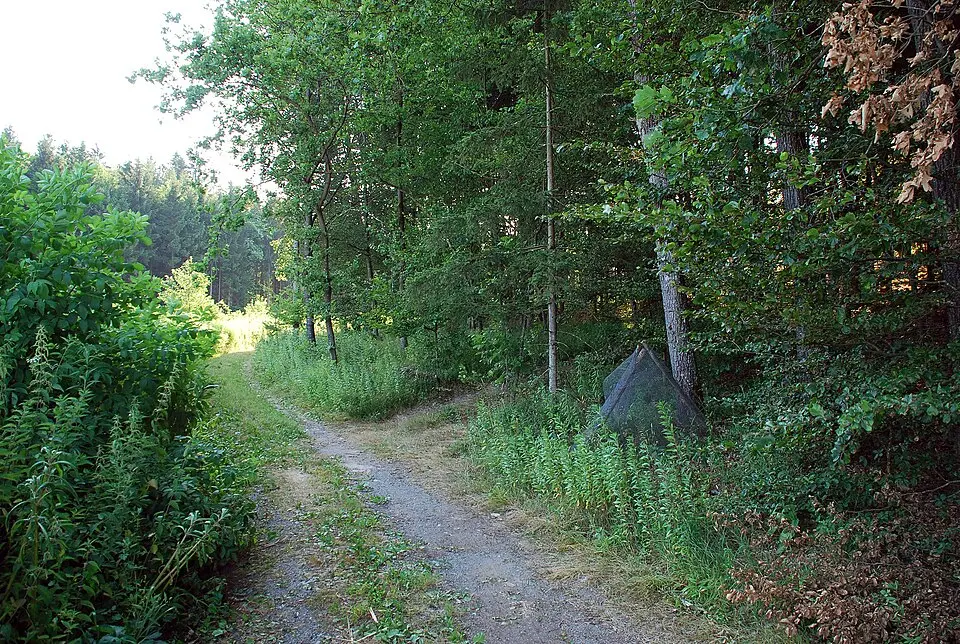 Grabhügelgruppe Gleinzhölzer