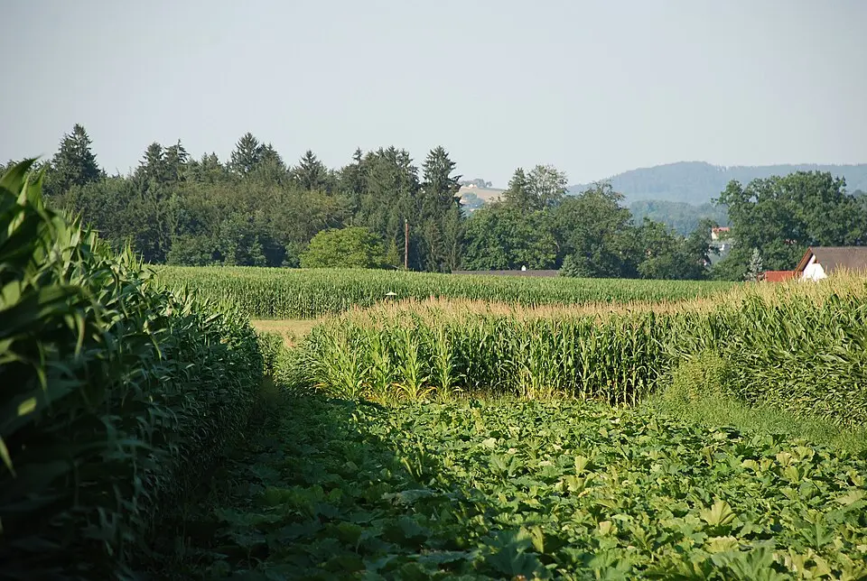 Prähistorische Siedlung beim Fastlbauer