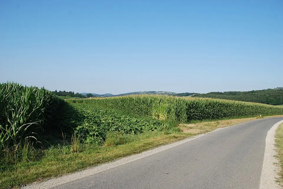 Römerzeitliche Siedlung beim Fastlbauer