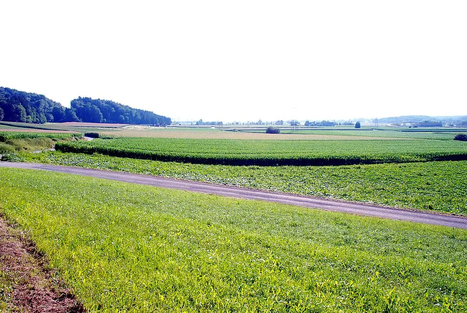 Römerzeitliche Siedlung Laßnitztal – Lassenberg