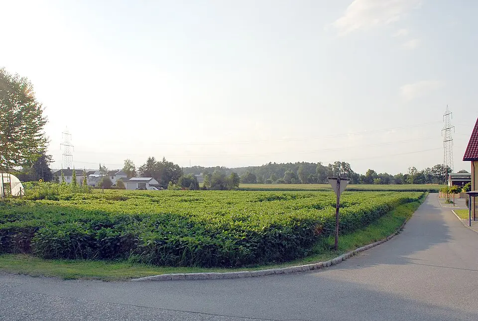 Römerzeitliche Siedlung Laßnitztal – Wettmannstätten