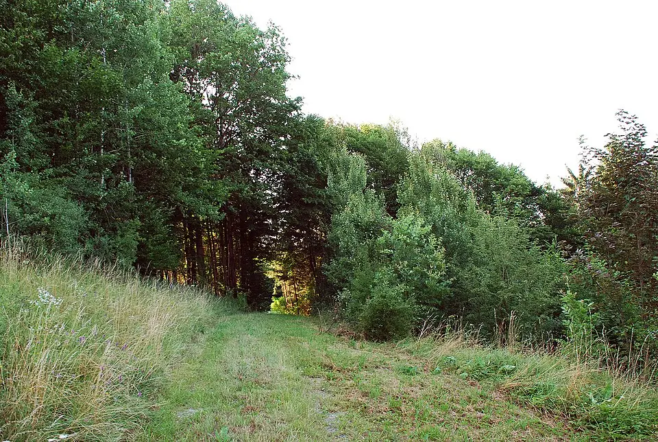 Grabhügel beim Luckenjörgl