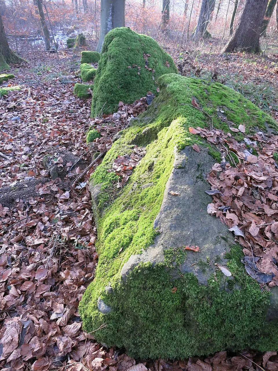 Weidmauern