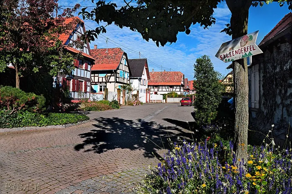 Slika: Ernst Baumann, http://baumanne.jimdo.com (ErBaumann at de.wikipedia) · CC BY-SA 3.0 DE Weyersheim