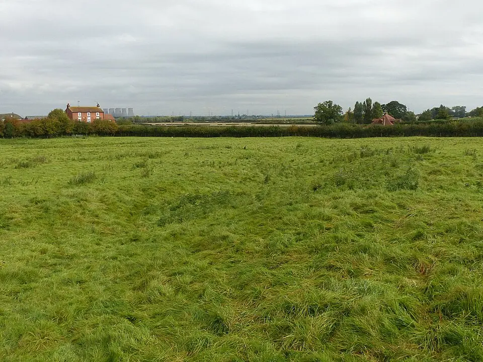 Whimpton Moor medieval village and moated site