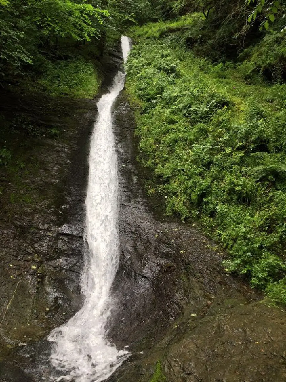 White Lady Waterfall
