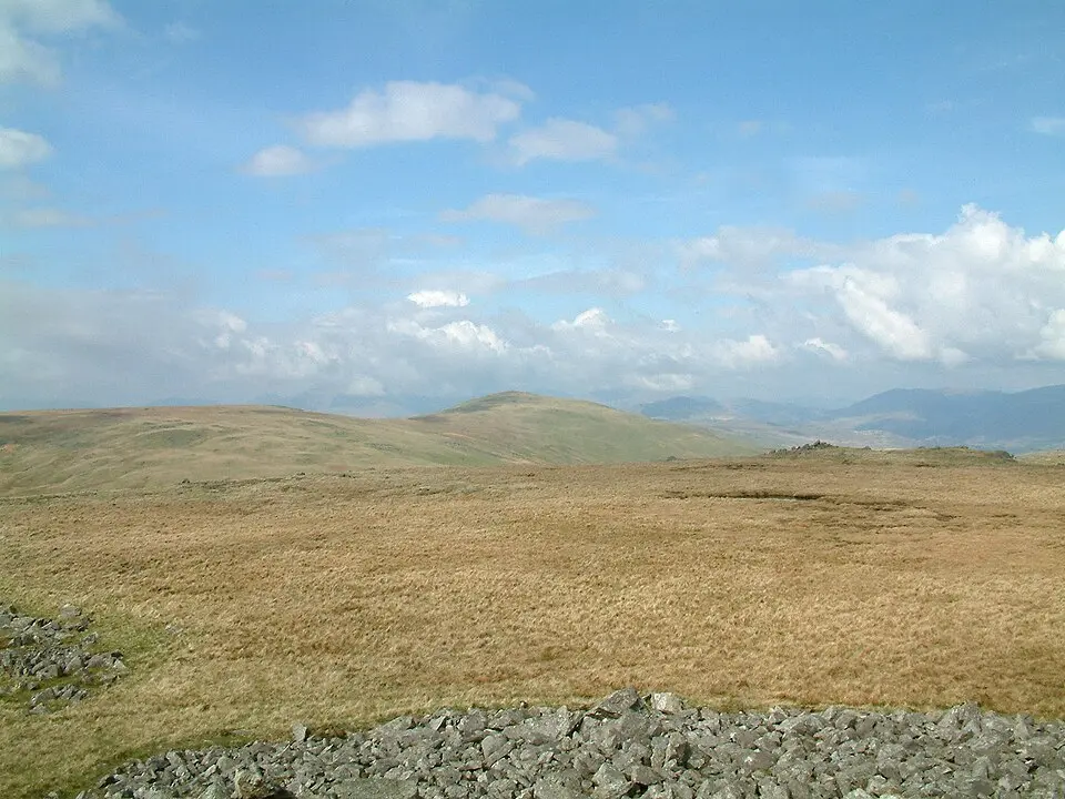 Image: StephenDawson at English Wikipedia · CC BY-SA 2.0 Whitfell