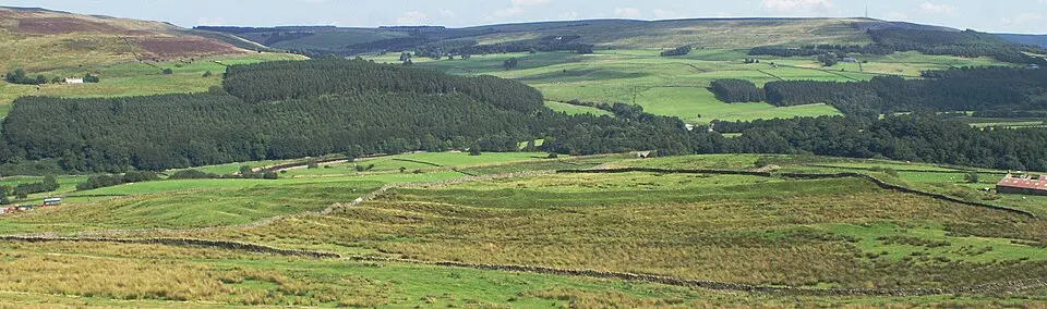Whitley Castle