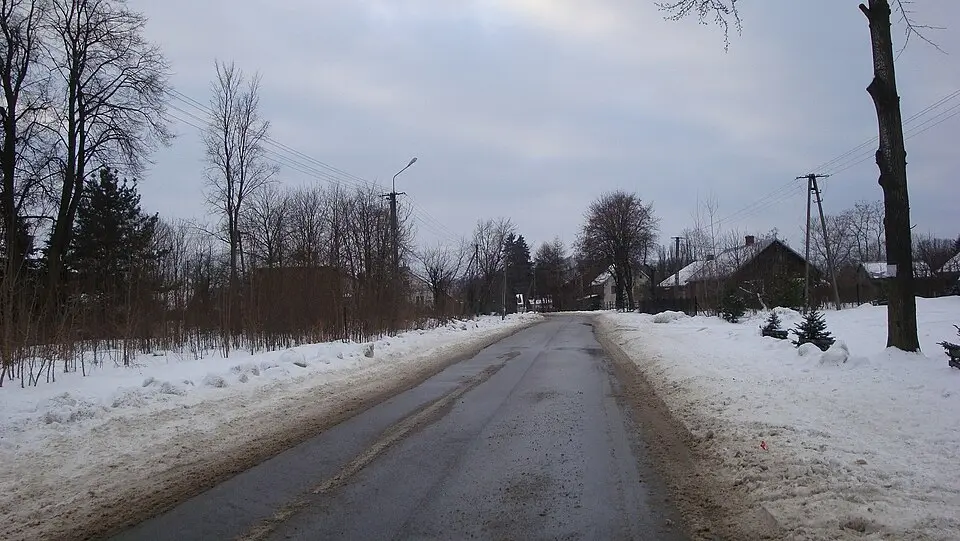 Wiśniew