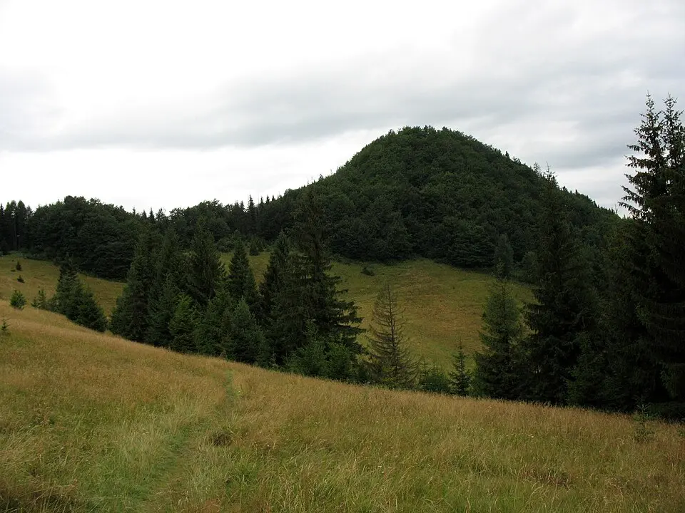 Wysoka