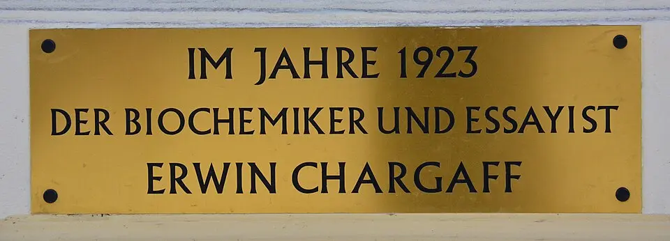Gedenktafel für Schüler des Gymnasiums Wasagasse (Wien, Wasagasse 10, Erwin Chargaff)